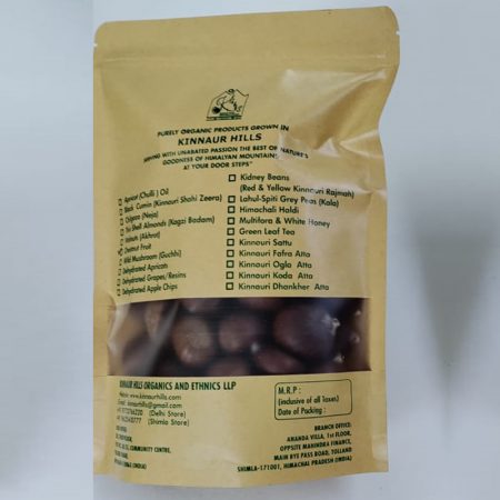 CHESTNUT-FRUIT